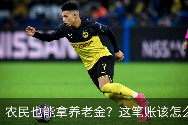 农民也能拿养老金？这笔账该怎么算！
